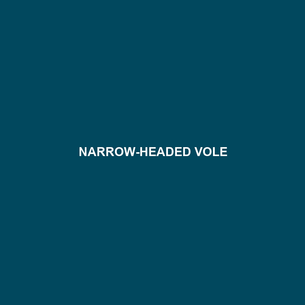 Narrow-headed Vole