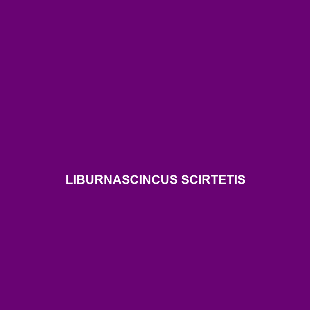 Liburnascincus scirtetis