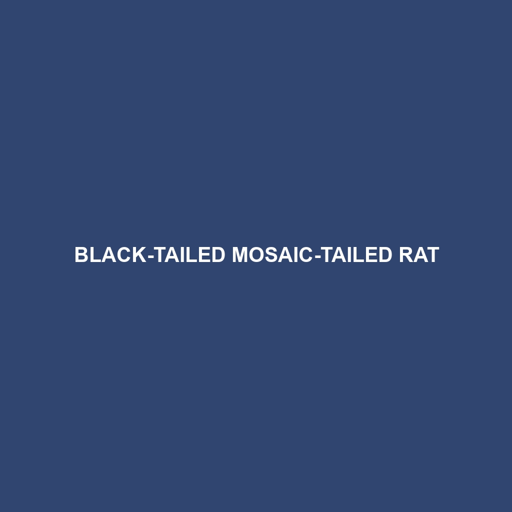 Black-tailed Mosaic-tailed Rat