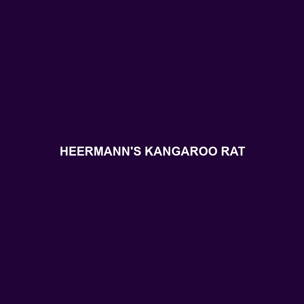 Heermann's Kangaroo Rat