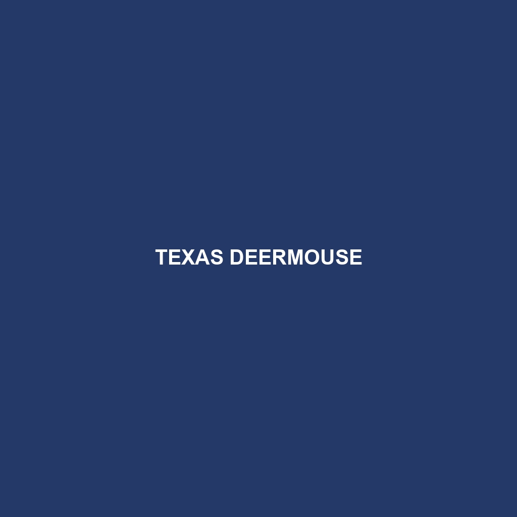 Texas Deermouse