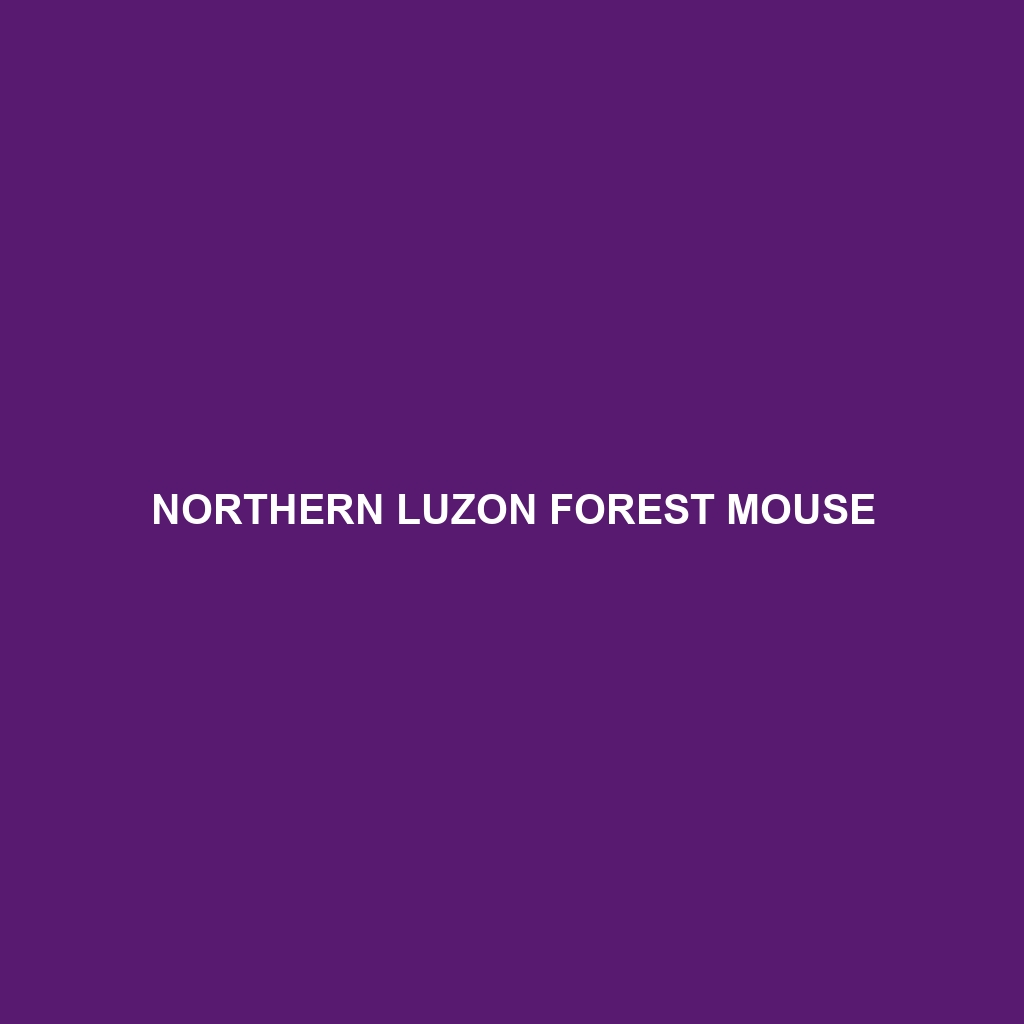 Northern Luzon Forest Mouse