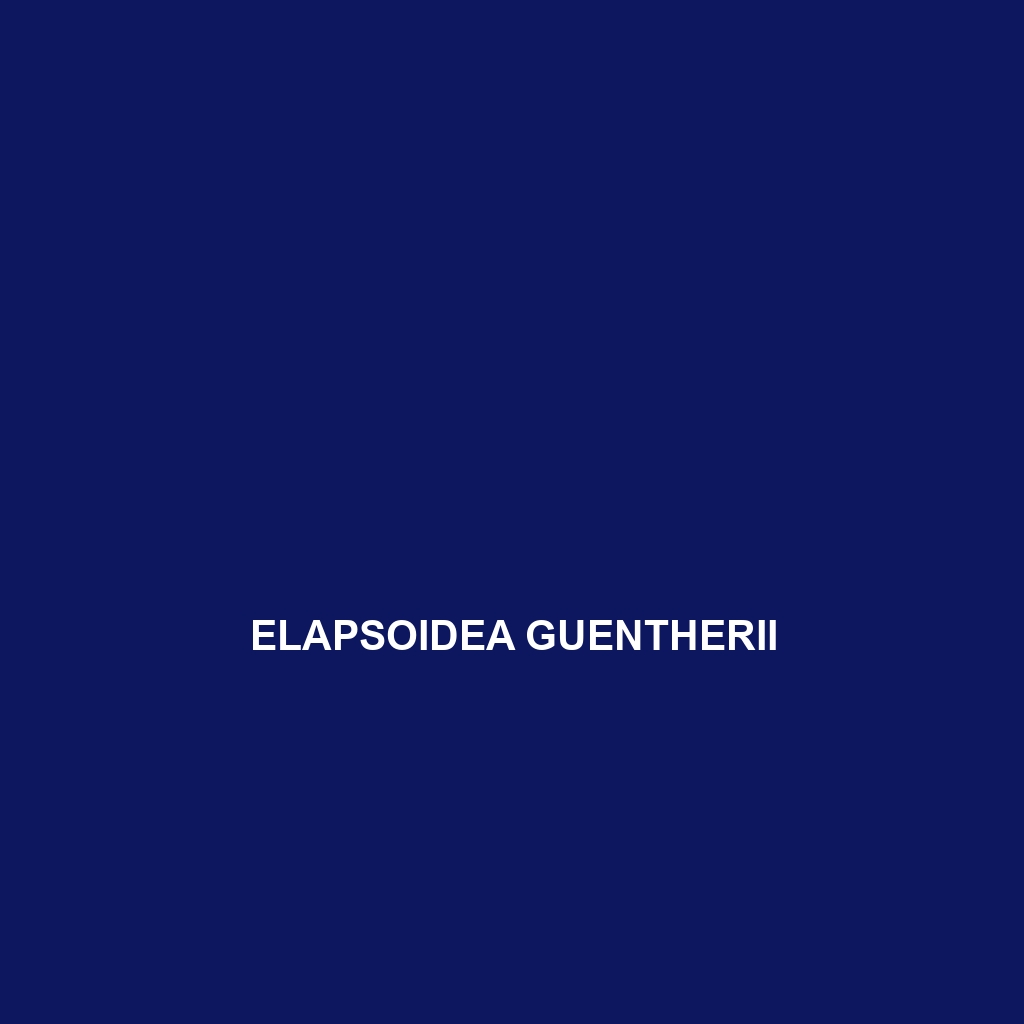 Elapsoidea guentherii