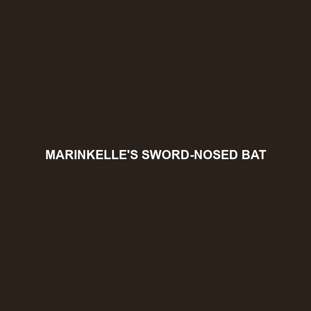 Marinkelle's Sword-nosed Bat