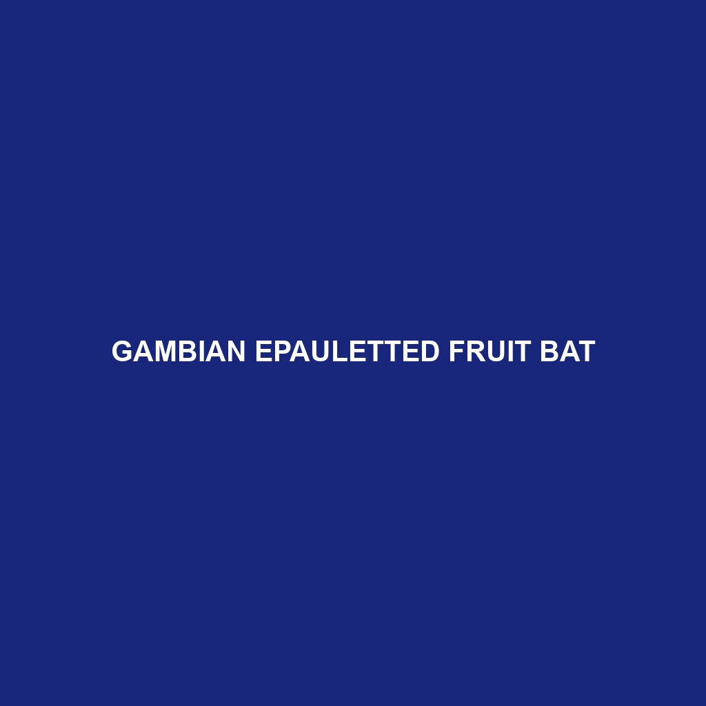 Gambian Epauletted Fruit Bat