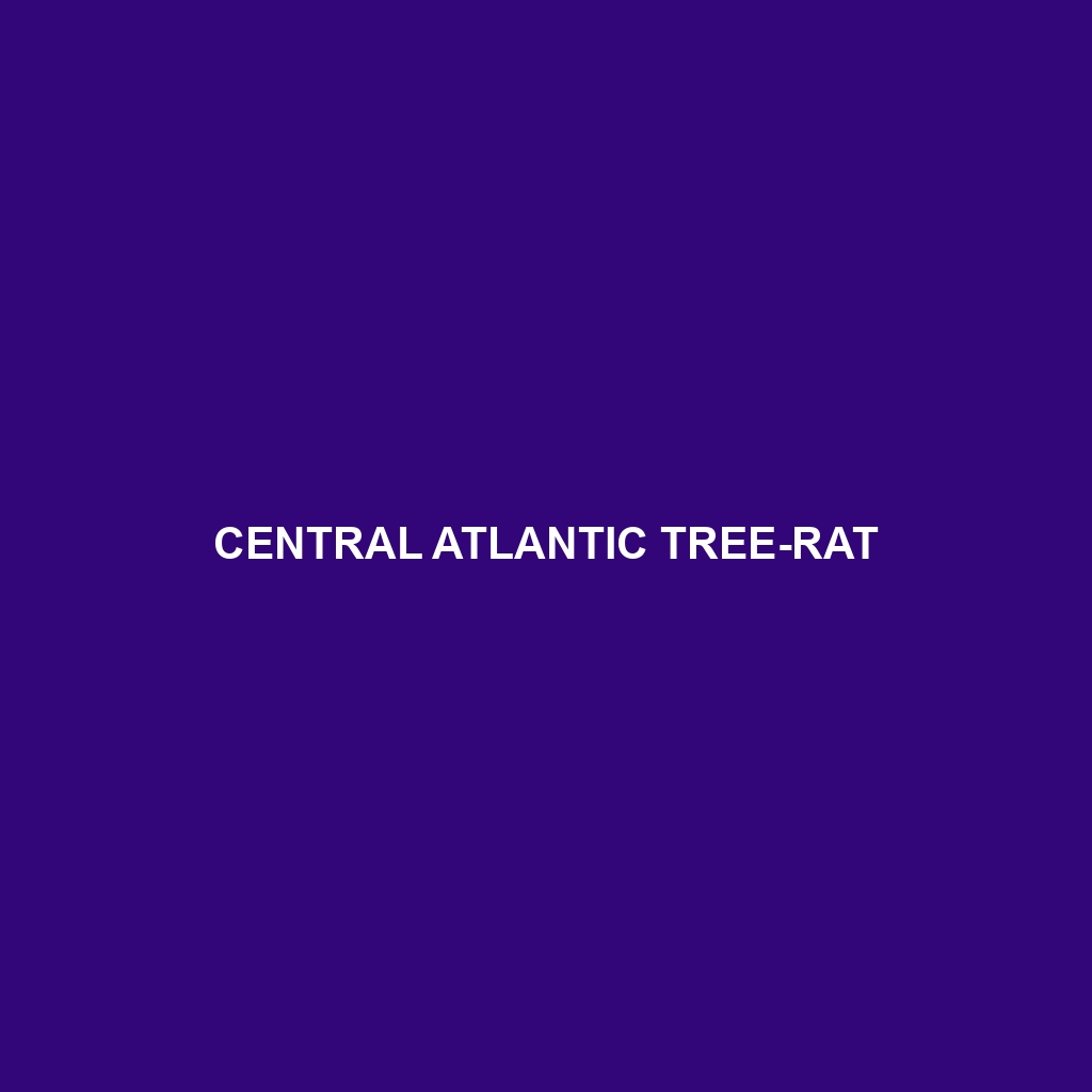 Central Atlantic Tree-rat