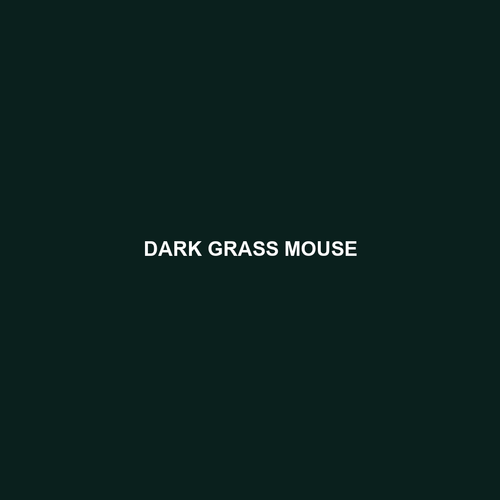 Dark Grass Mouse