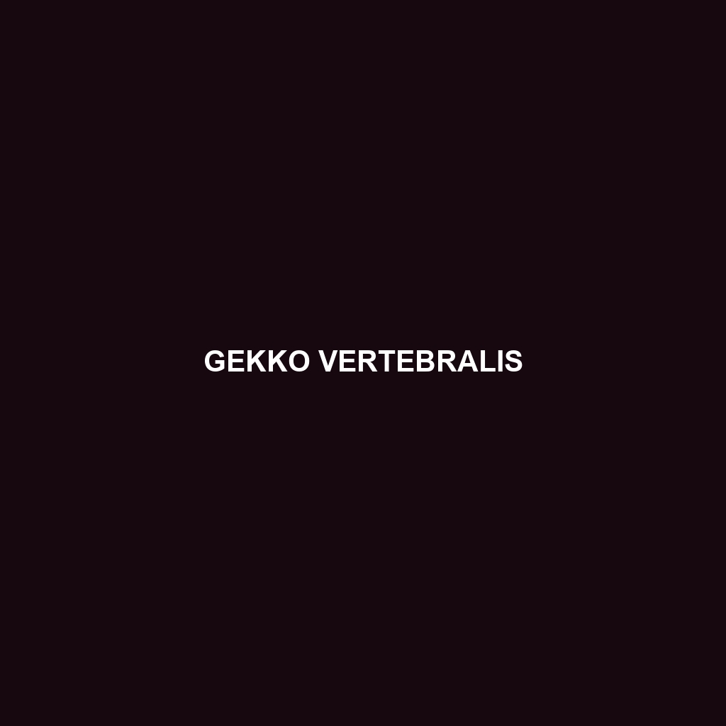 Gekko vertebralis