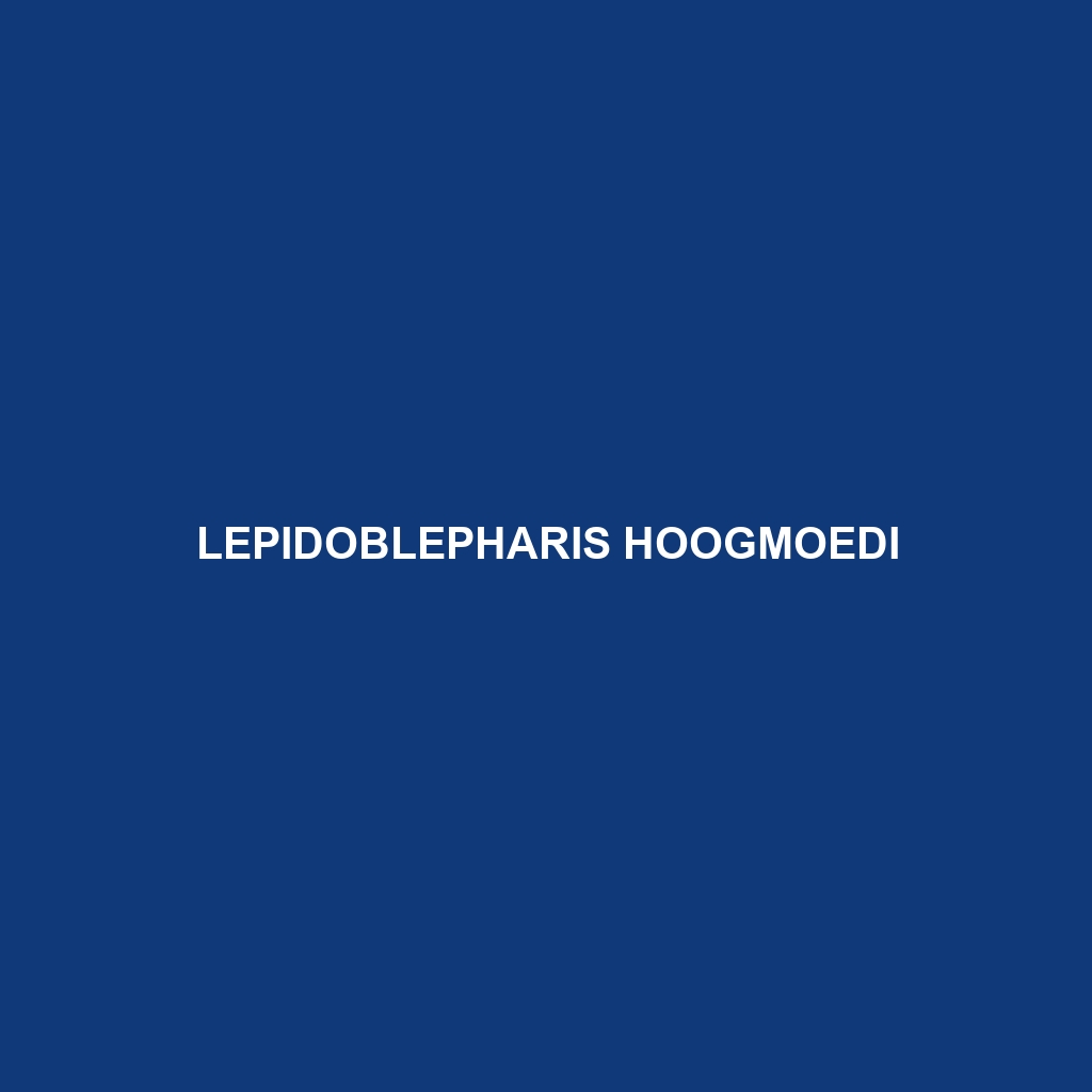 Lepidoblepharis hoogmoedi