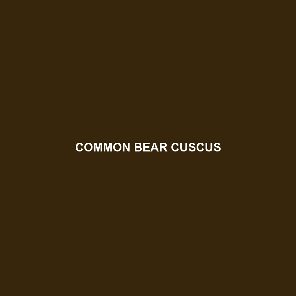 Common Bear Cuscus