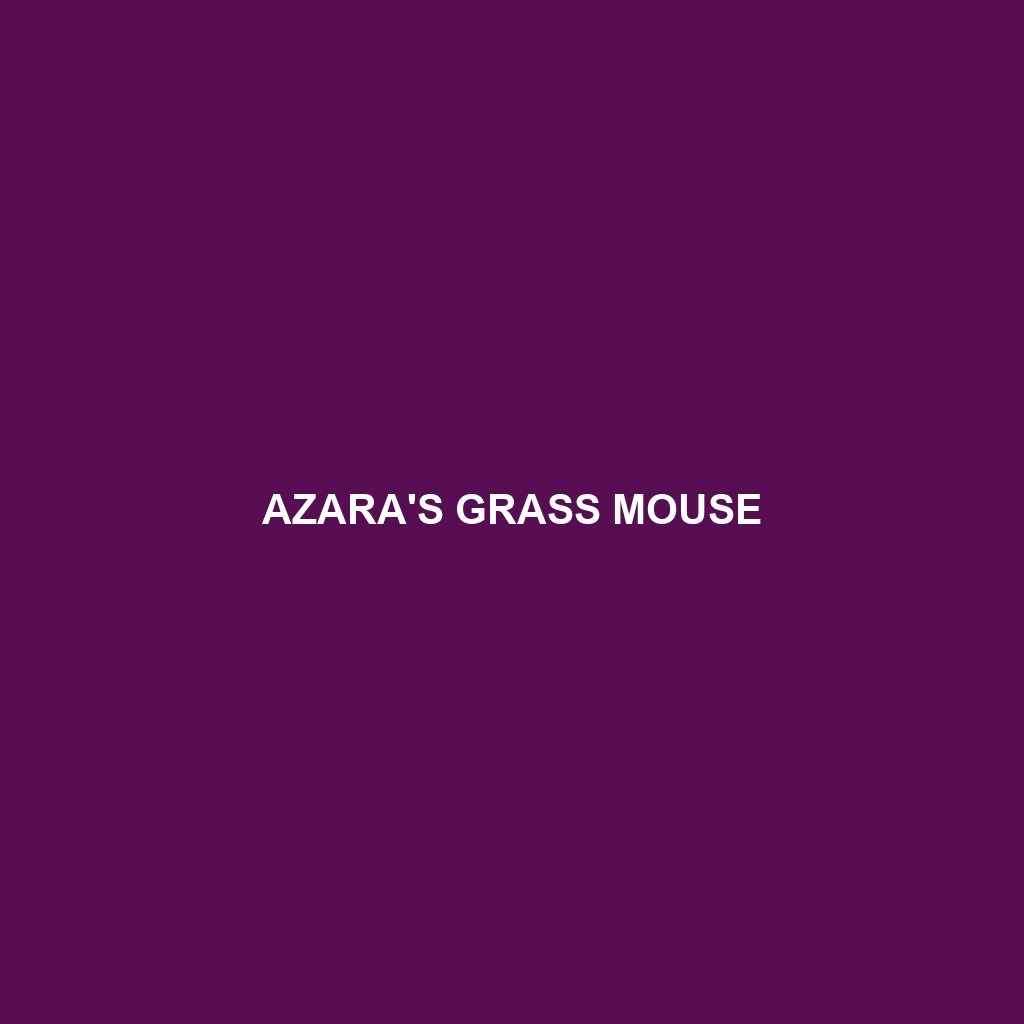 Azara's Grass Mouse