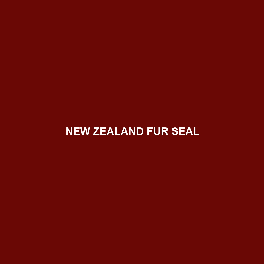 New Zealand Fur Seal