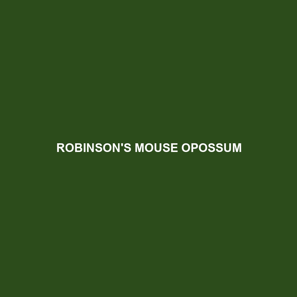 Robinson's Mouse Opossum