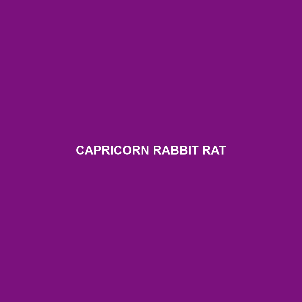 Capricorn Rabbit Rat