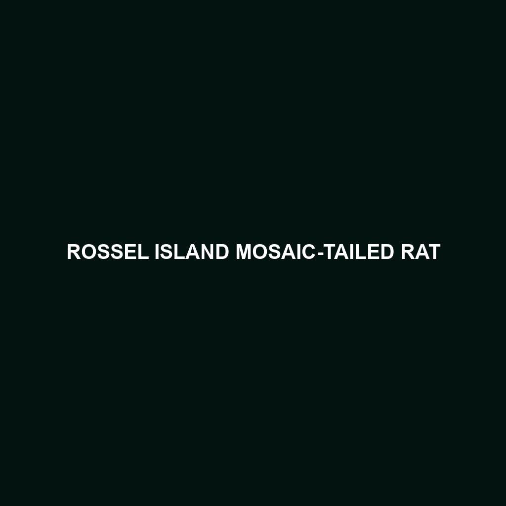 Rossel Island Mosaic-tailed Rat