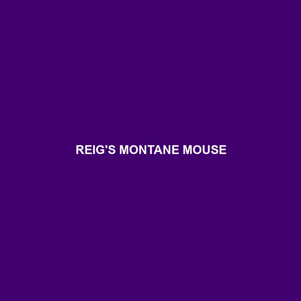 Reig's Montane Mouse