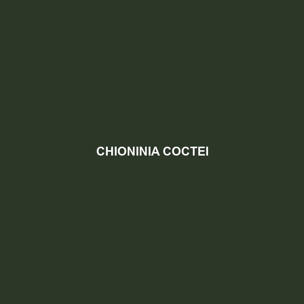 Chioninia coctei