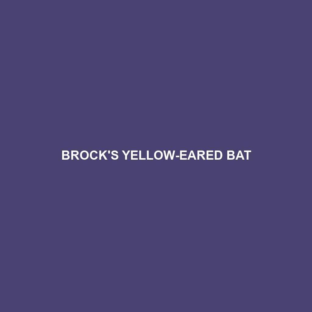 Brock's Yellow-eared Bat