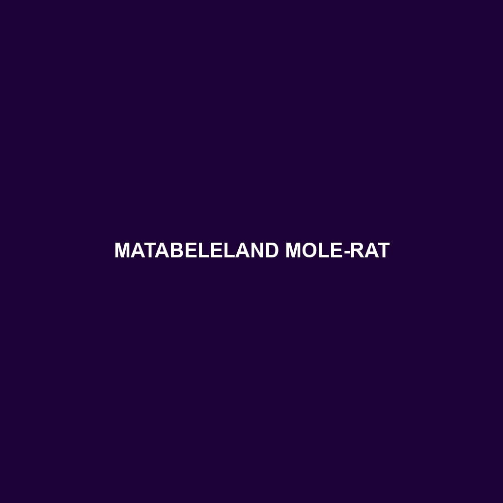 Matabeleland Mole-rat