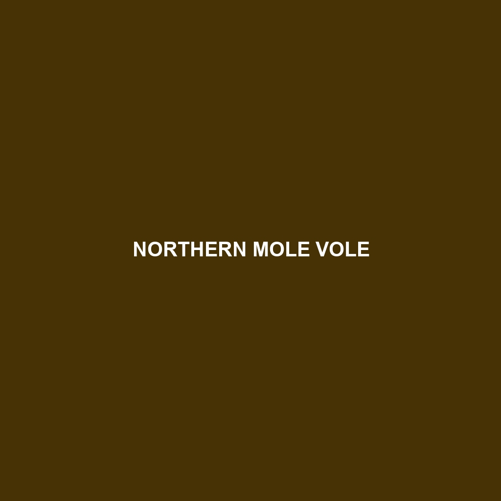 Northern Mole Vole