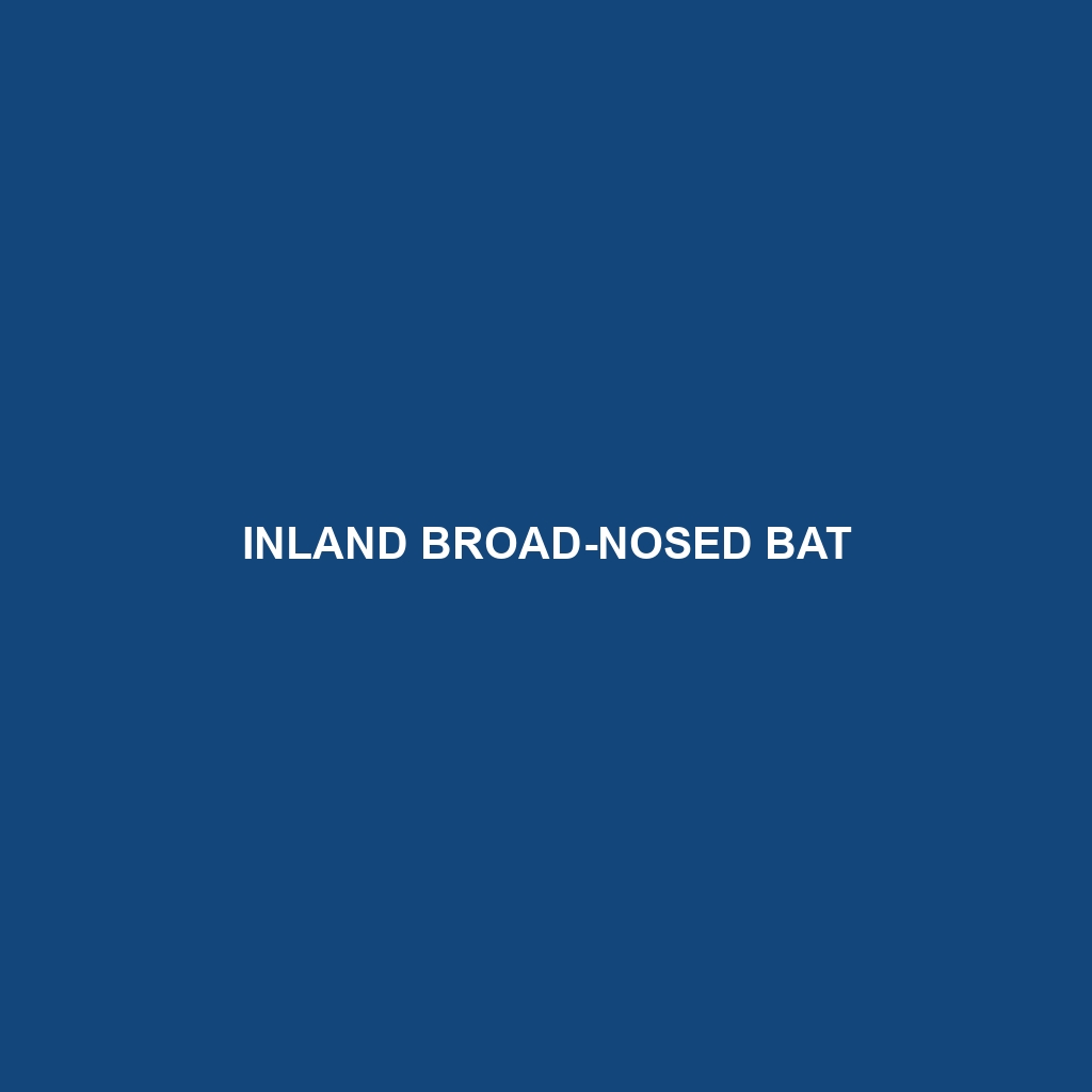 Inland Broad-nosed Bat