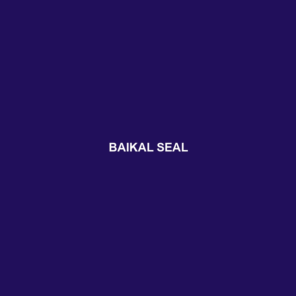 Baikal Seal