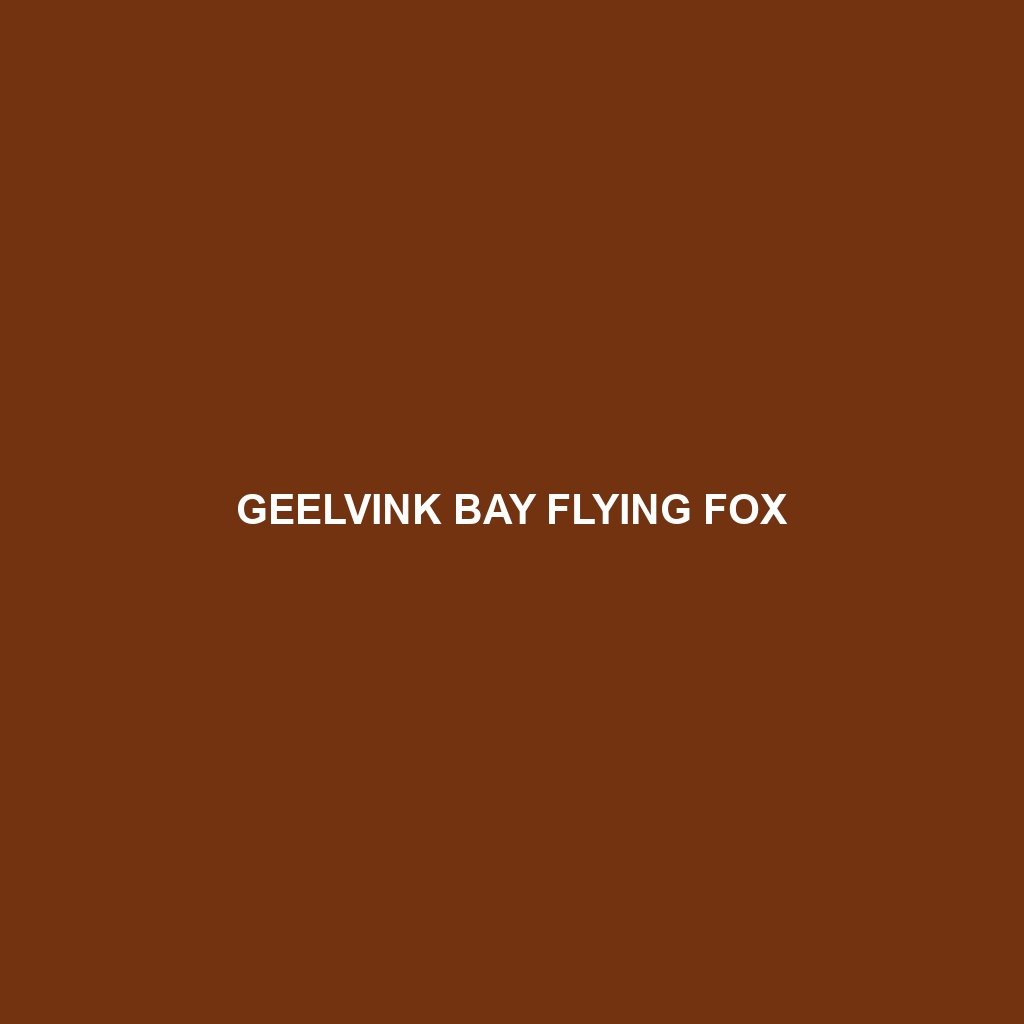 Geelvink Bay Flying Fox