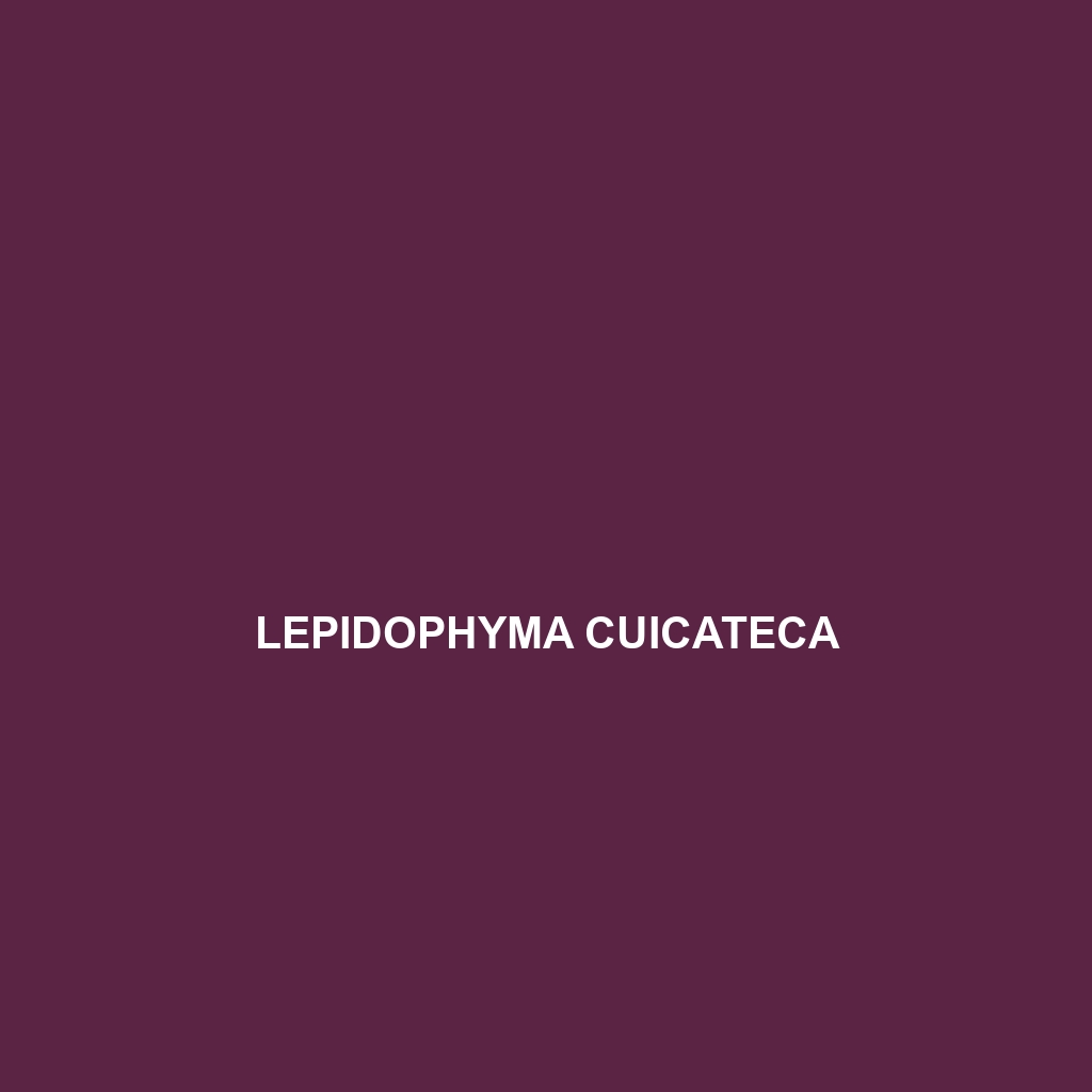 Lepidophyma cuicateca