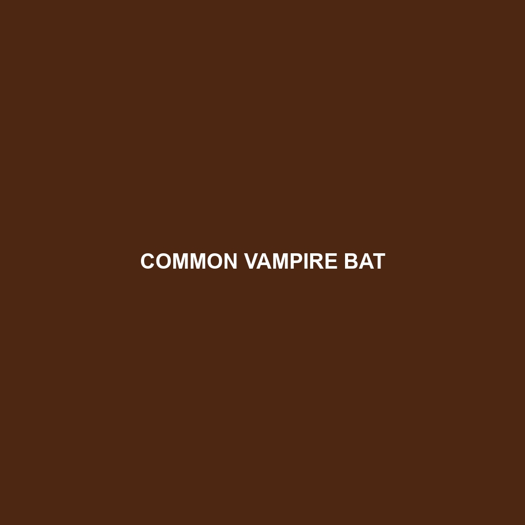 Common Vampire Bat