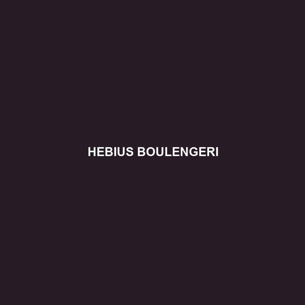 Hebius boulengeri