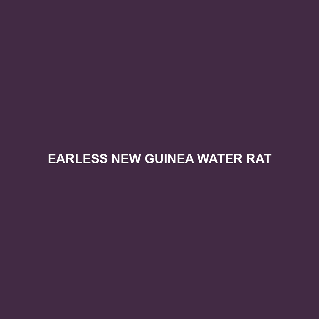 Earless New Guinea Water Rat