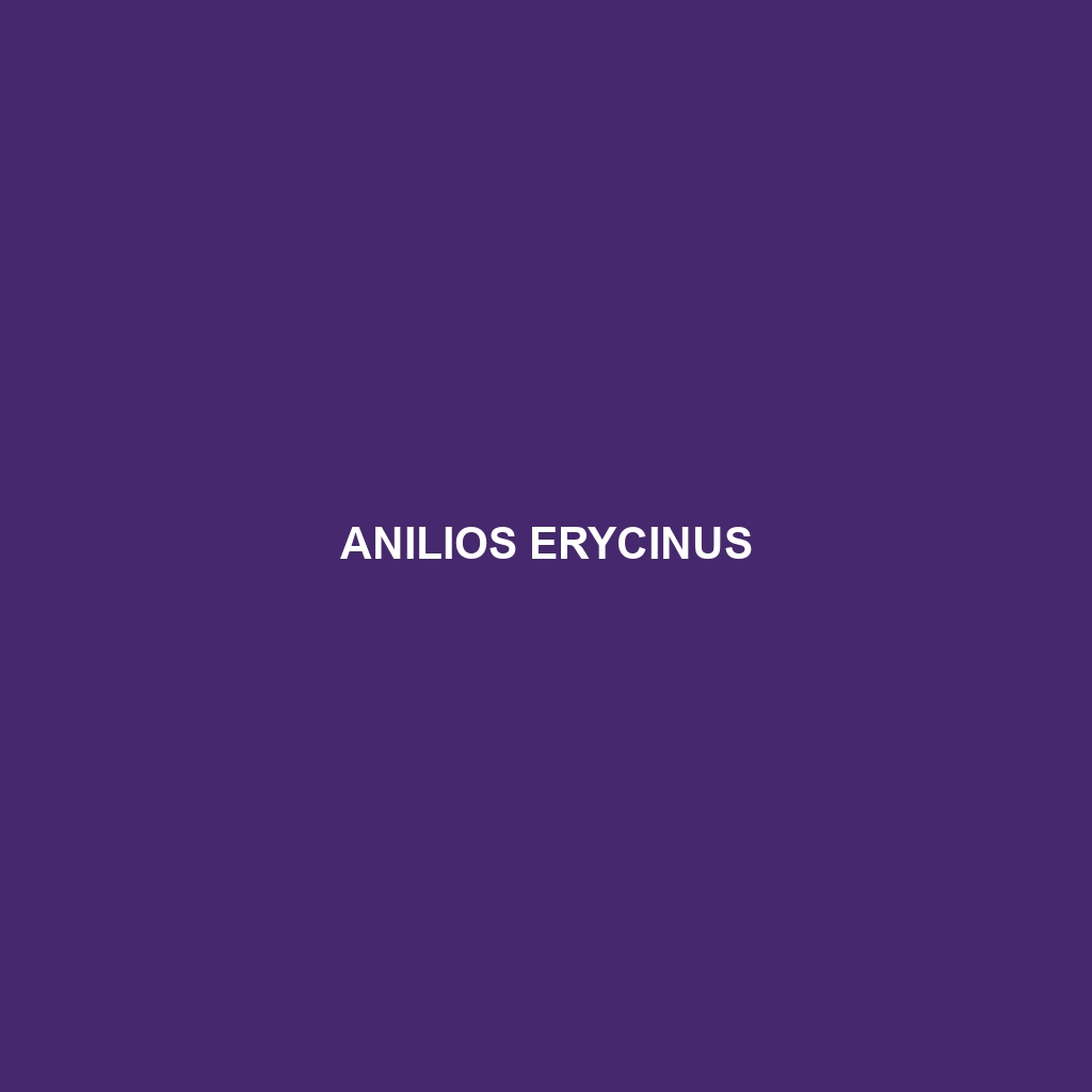 Anilios erycinus