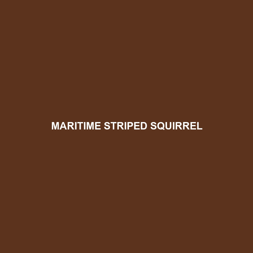 Maritime Striped Squirrel