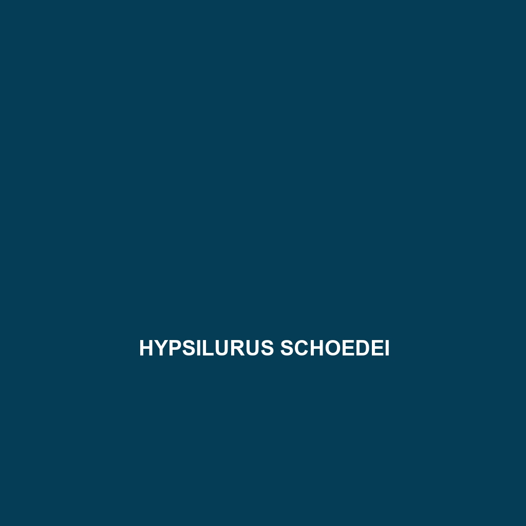 Hypsilurus schoedei