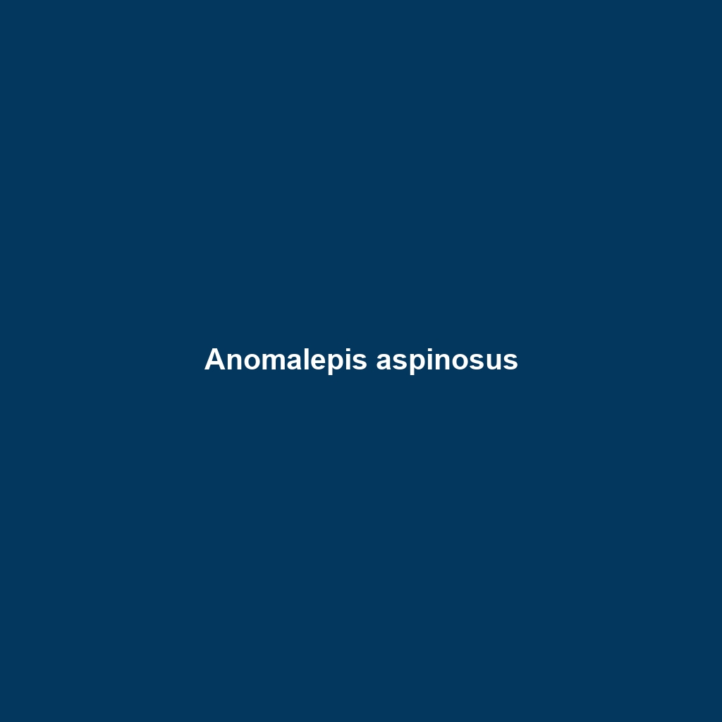 Anomalepis aspinosus