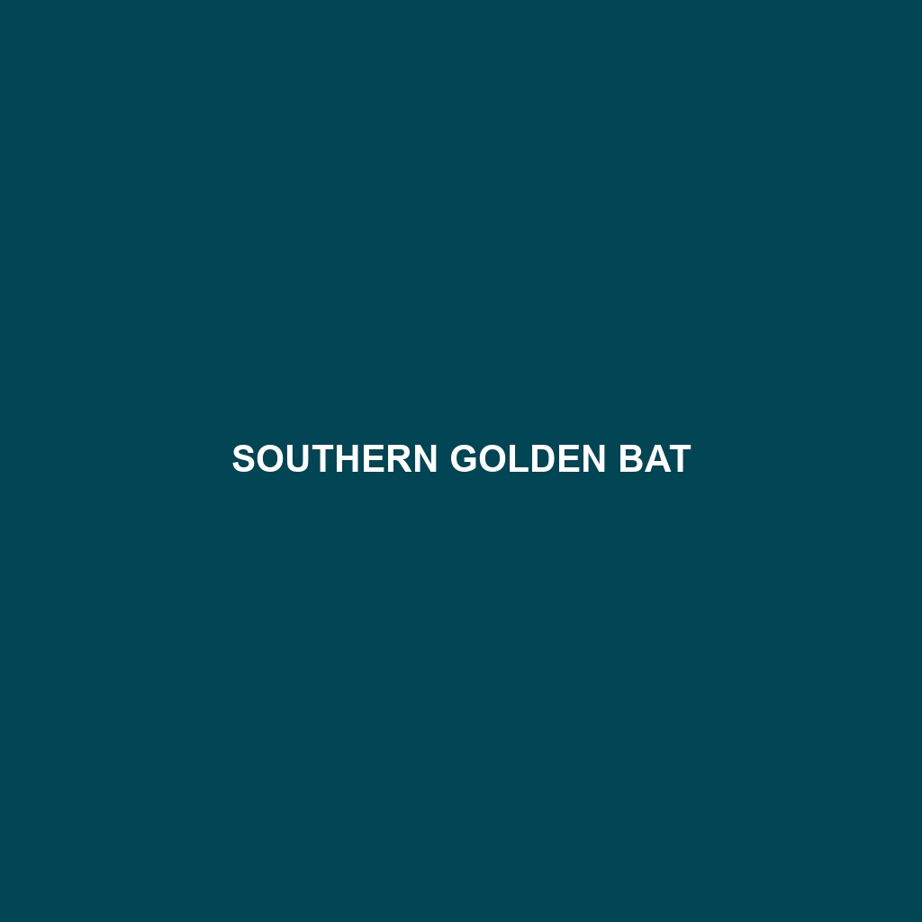 Southern Golden Bat