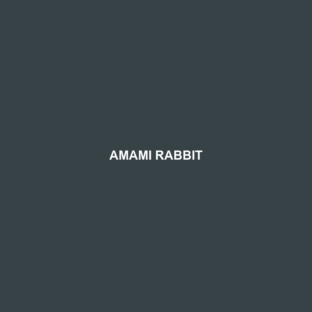 Amami Rabbit