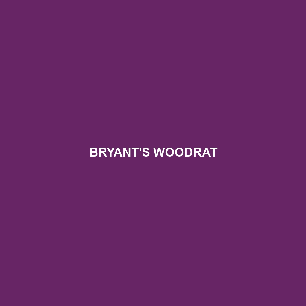 Bryant's Woodrat