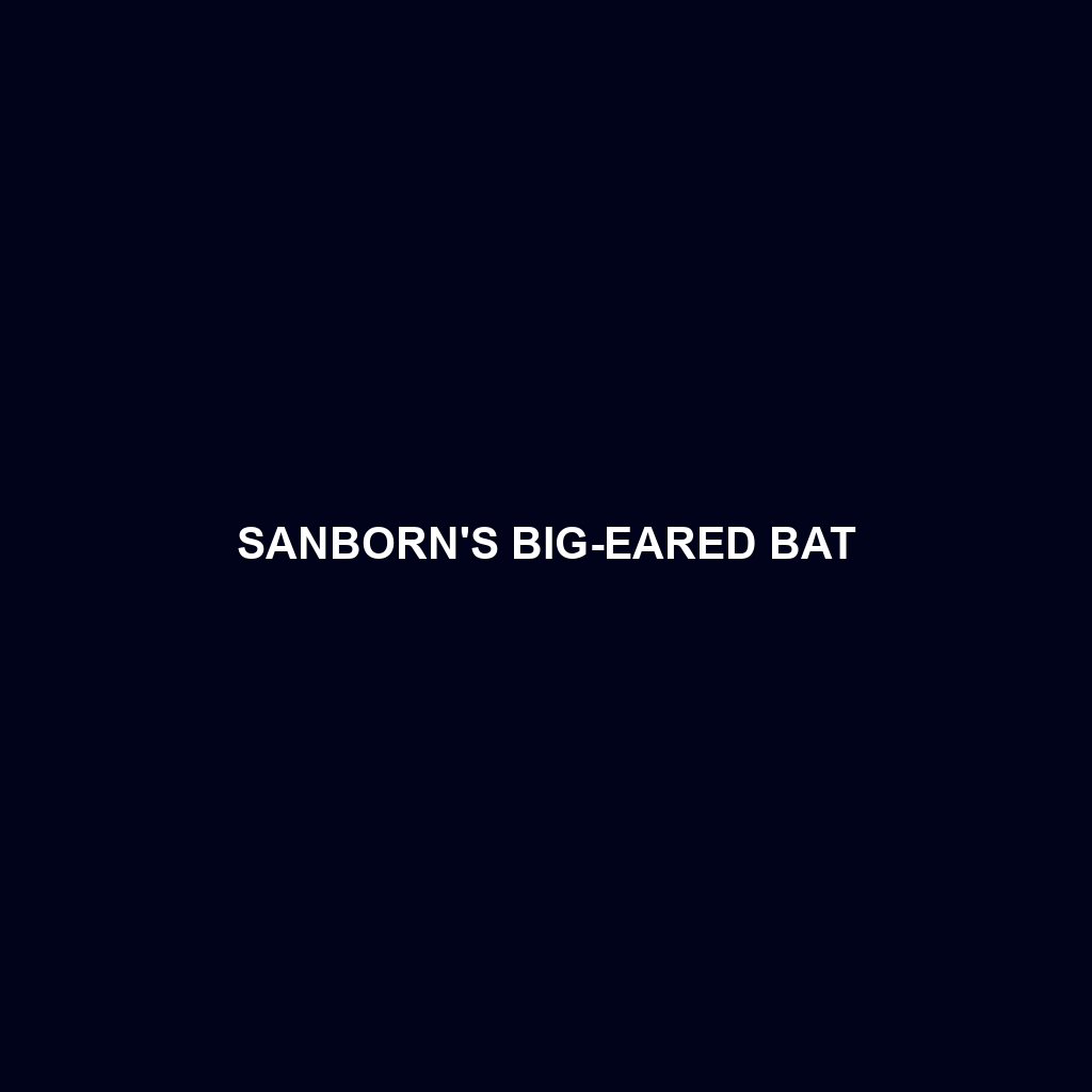 Sanborn's Big-eared Bat