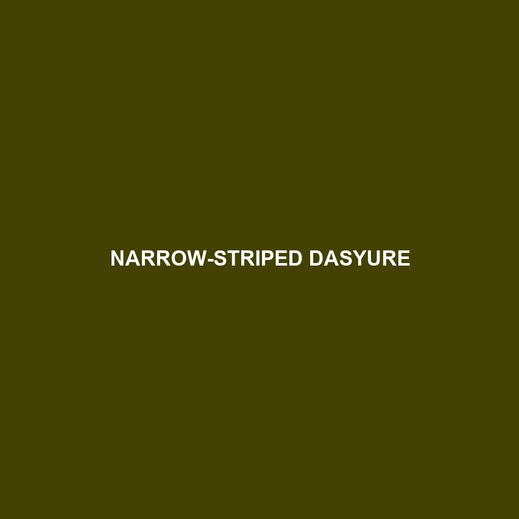 Narrow-striped Dasyure