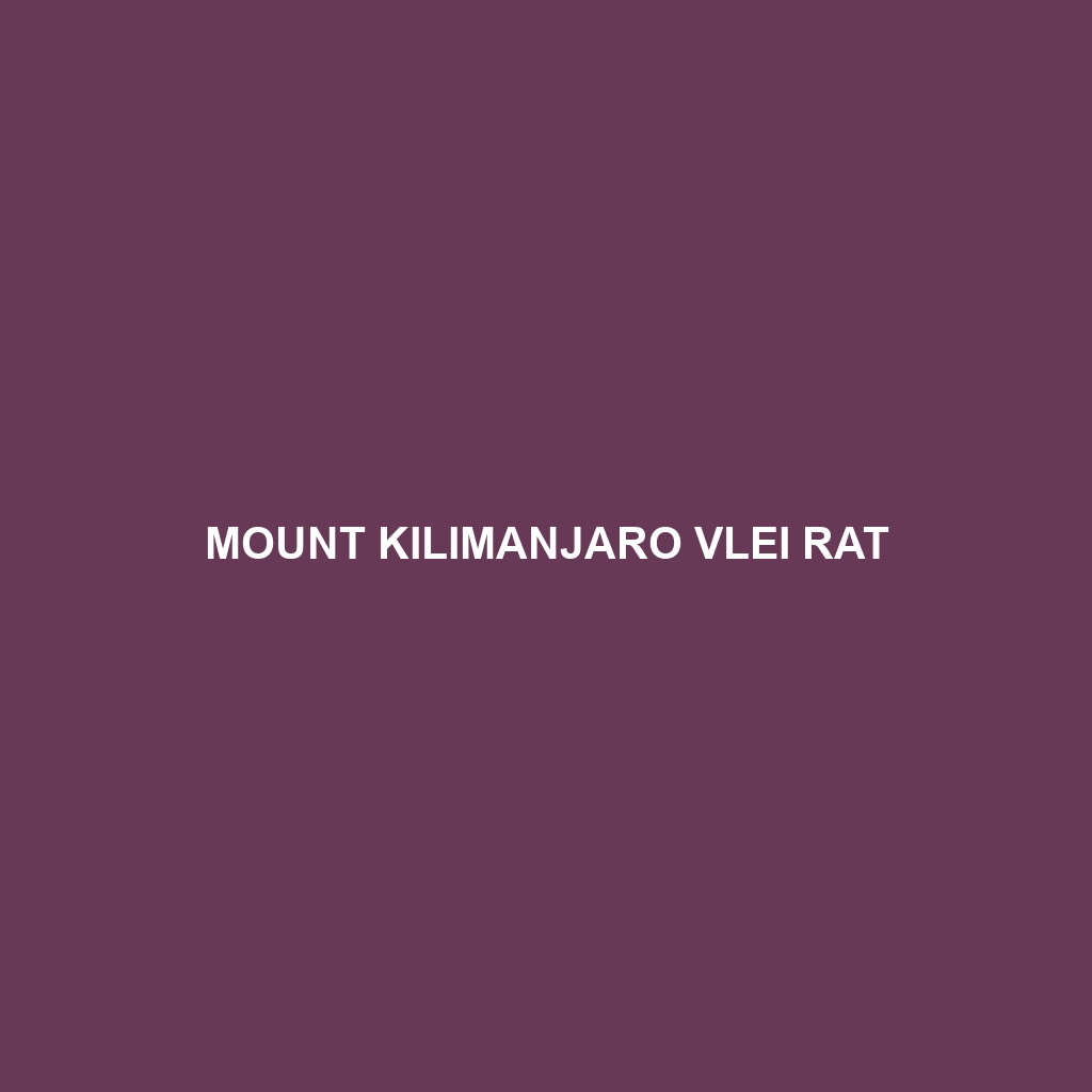 Mount Kilimanjaro Vlei Rat