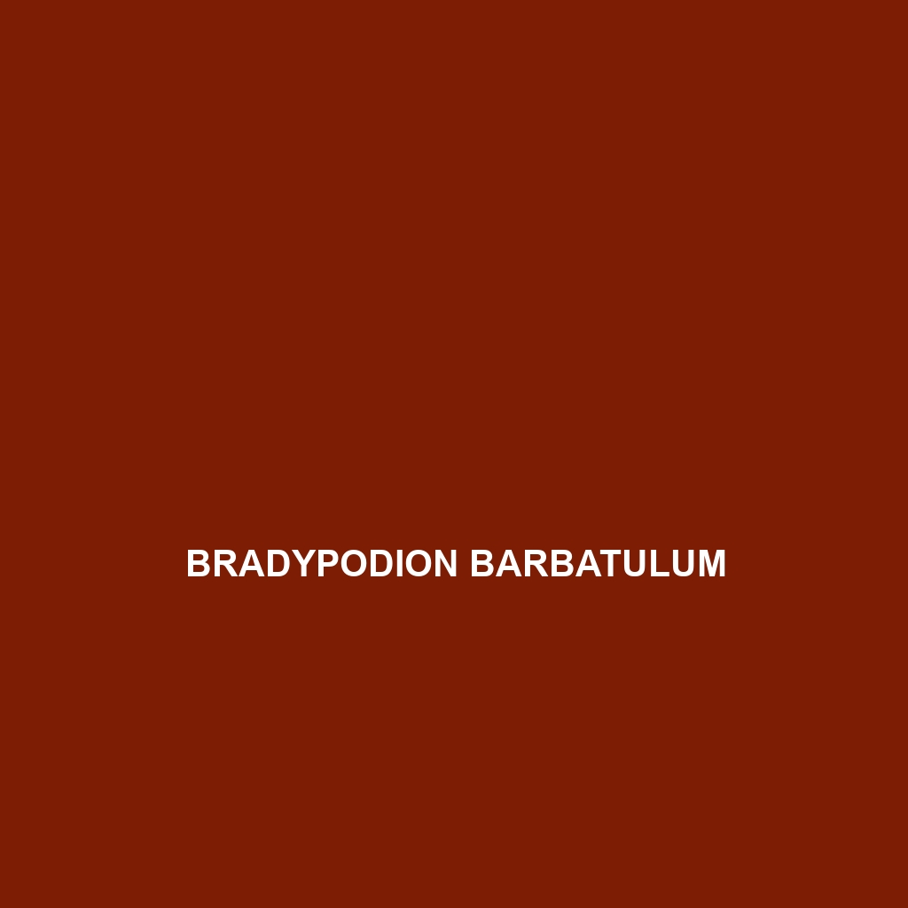 Bradypodion barbatulum