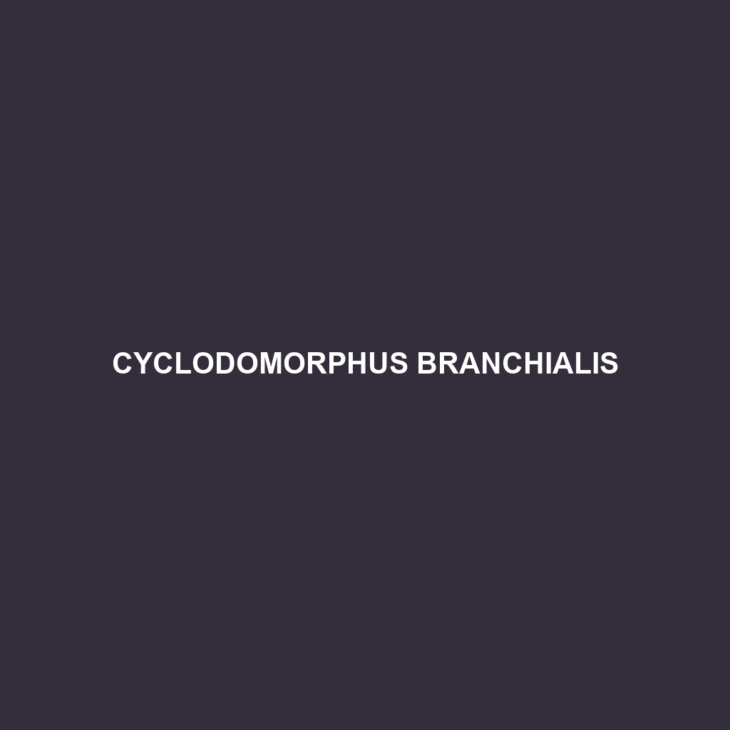 Cyclodomorphus branchialis