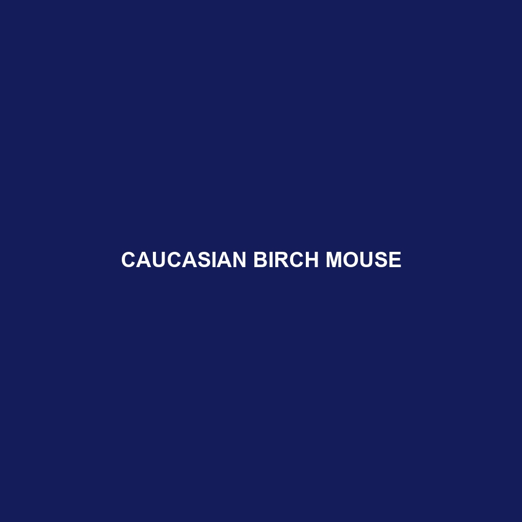 Caucasian Birch Mouse