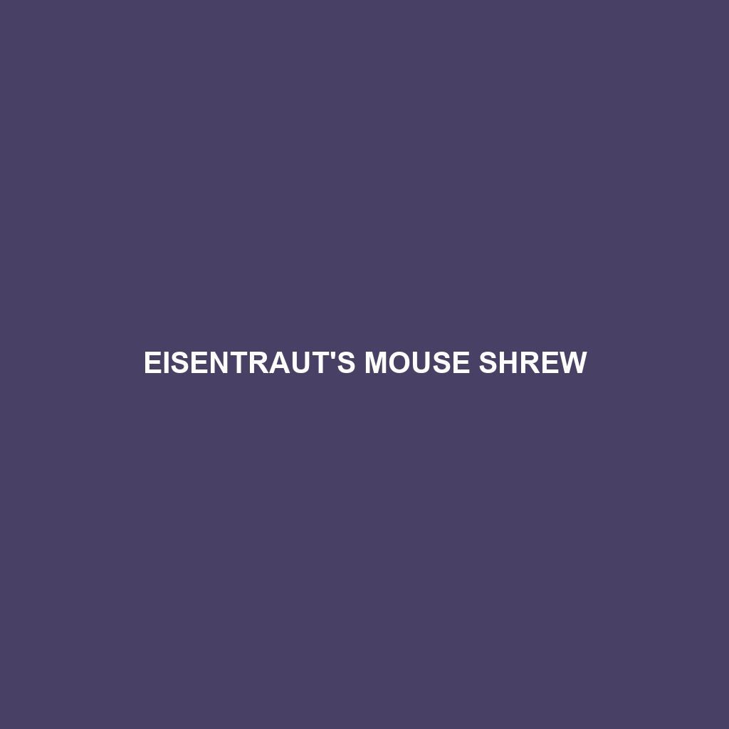 Eisentraut's Mouse Shrew