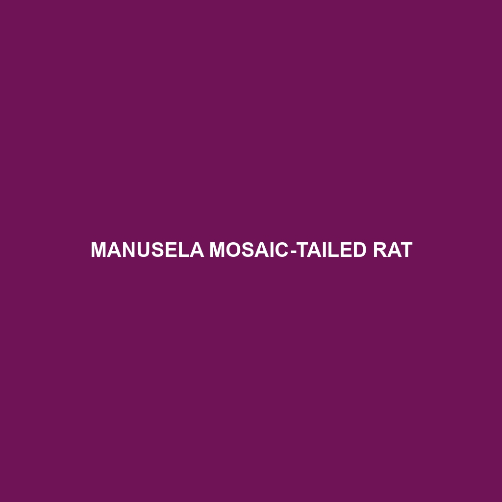 Manusela Mosaic-tailed Rat