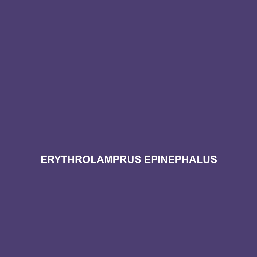 Erythrolamprus epinephalus