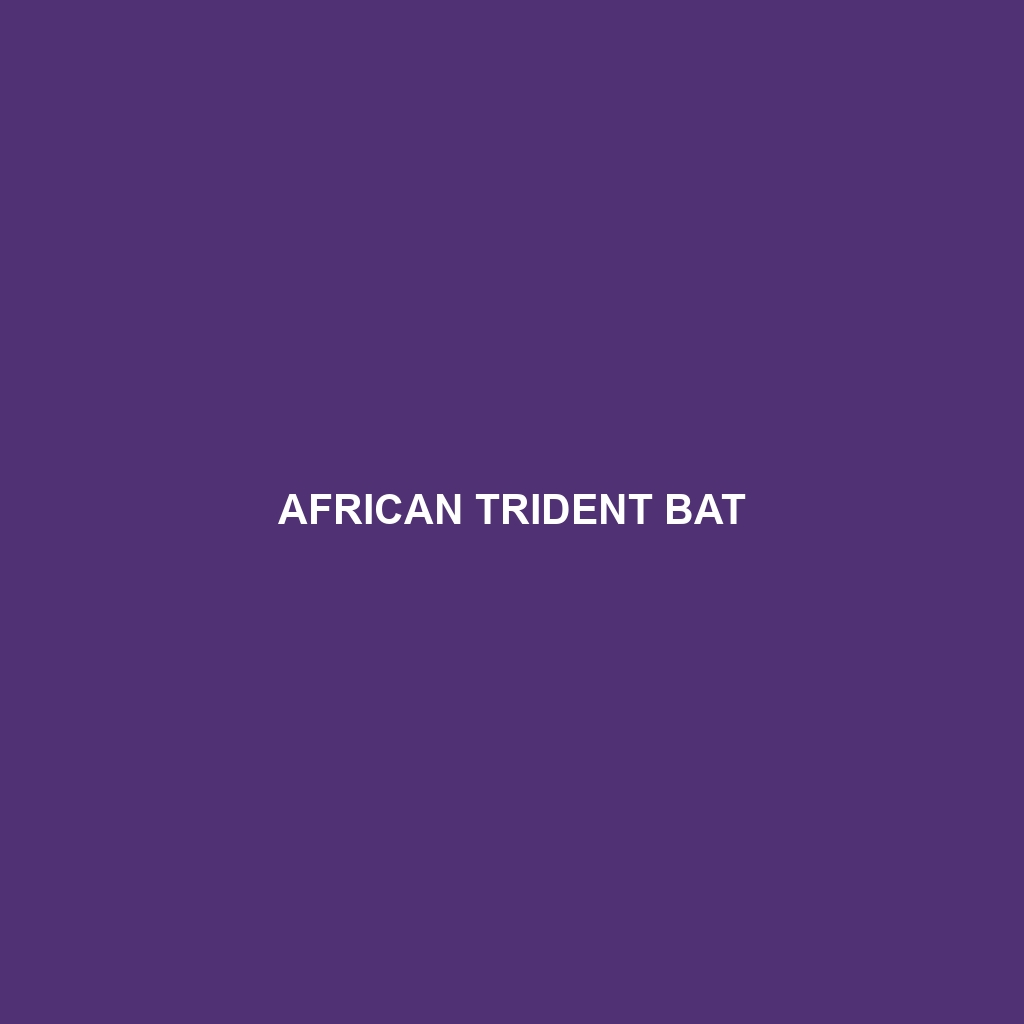 African Trident Bat