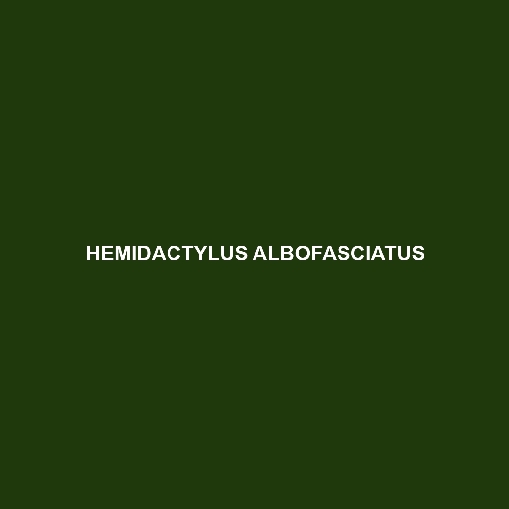 Hemidactylus albofasciatus