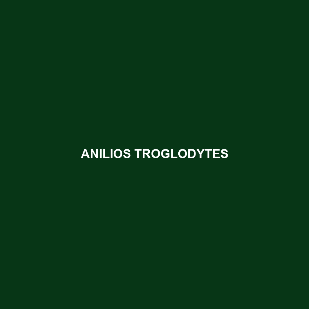 Anilios troglodytes